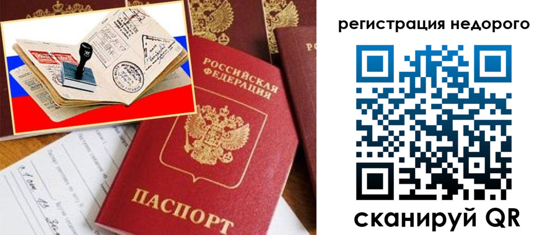 прописка иностранных граждан в Курской области